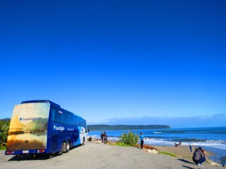 40983730914_b3071a3c91_k