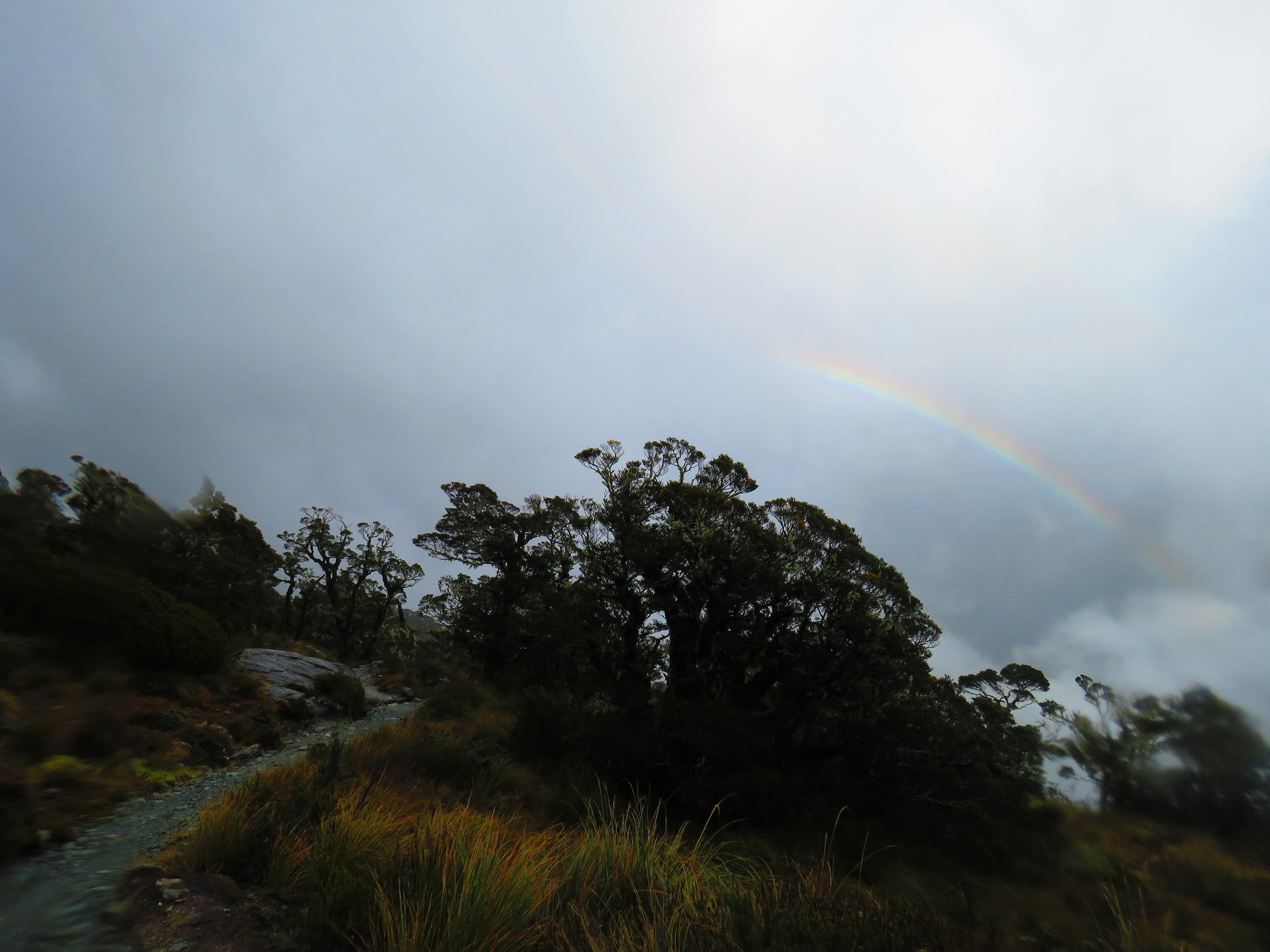 41661662682_310be1e9f9_k