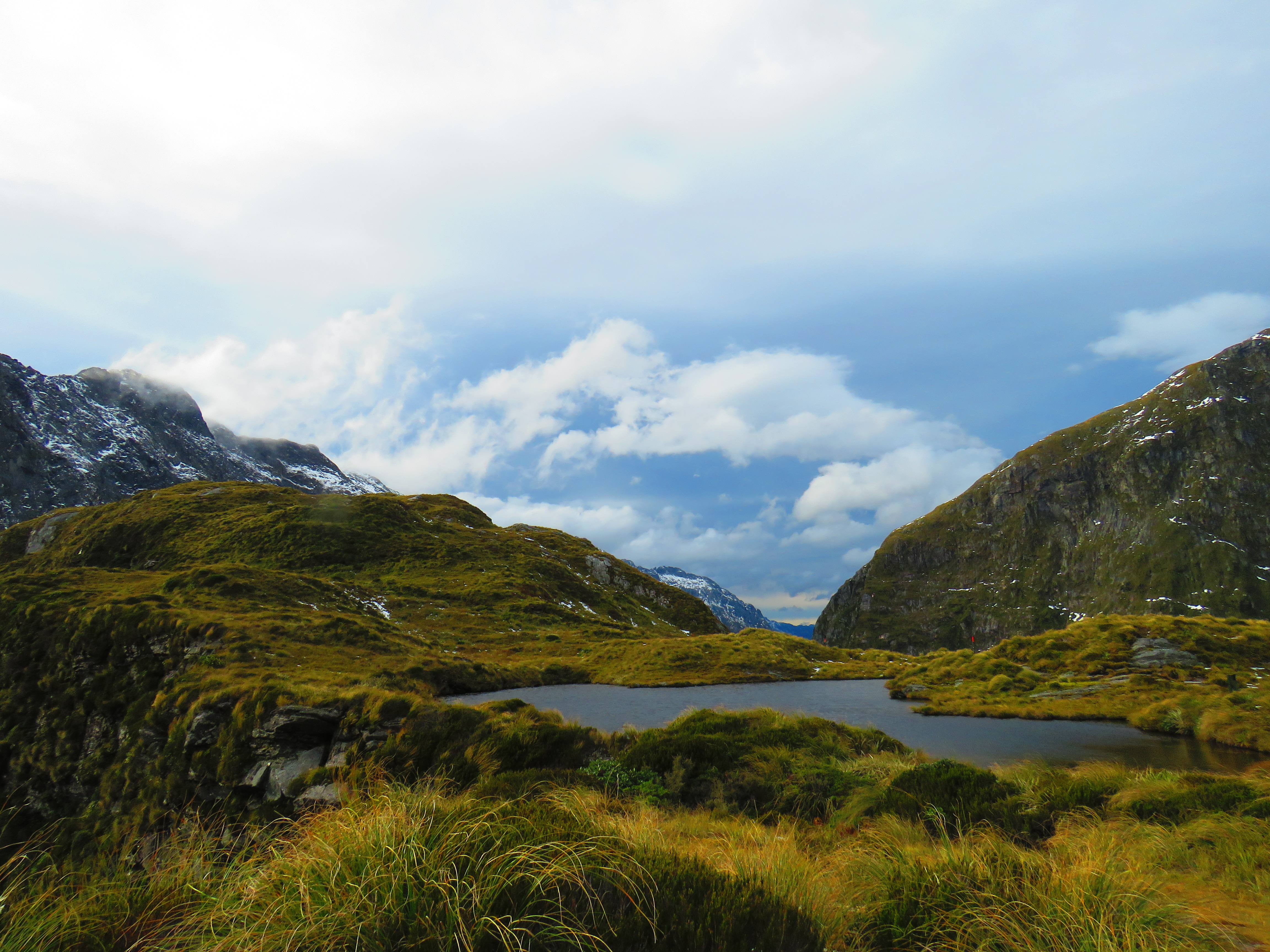 41694618891_b01951df3b_o