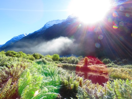 41694631351_d43ffca456_o