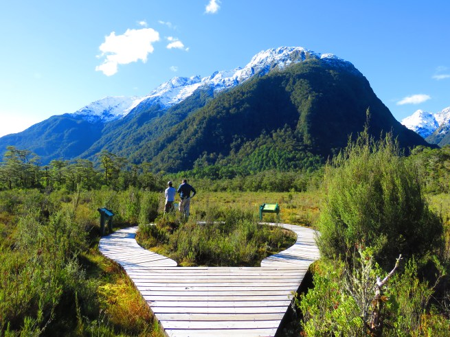 41694642391_be8f9e64b7_o