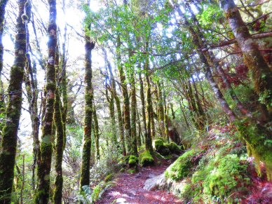 41701434371_c931445f32_k