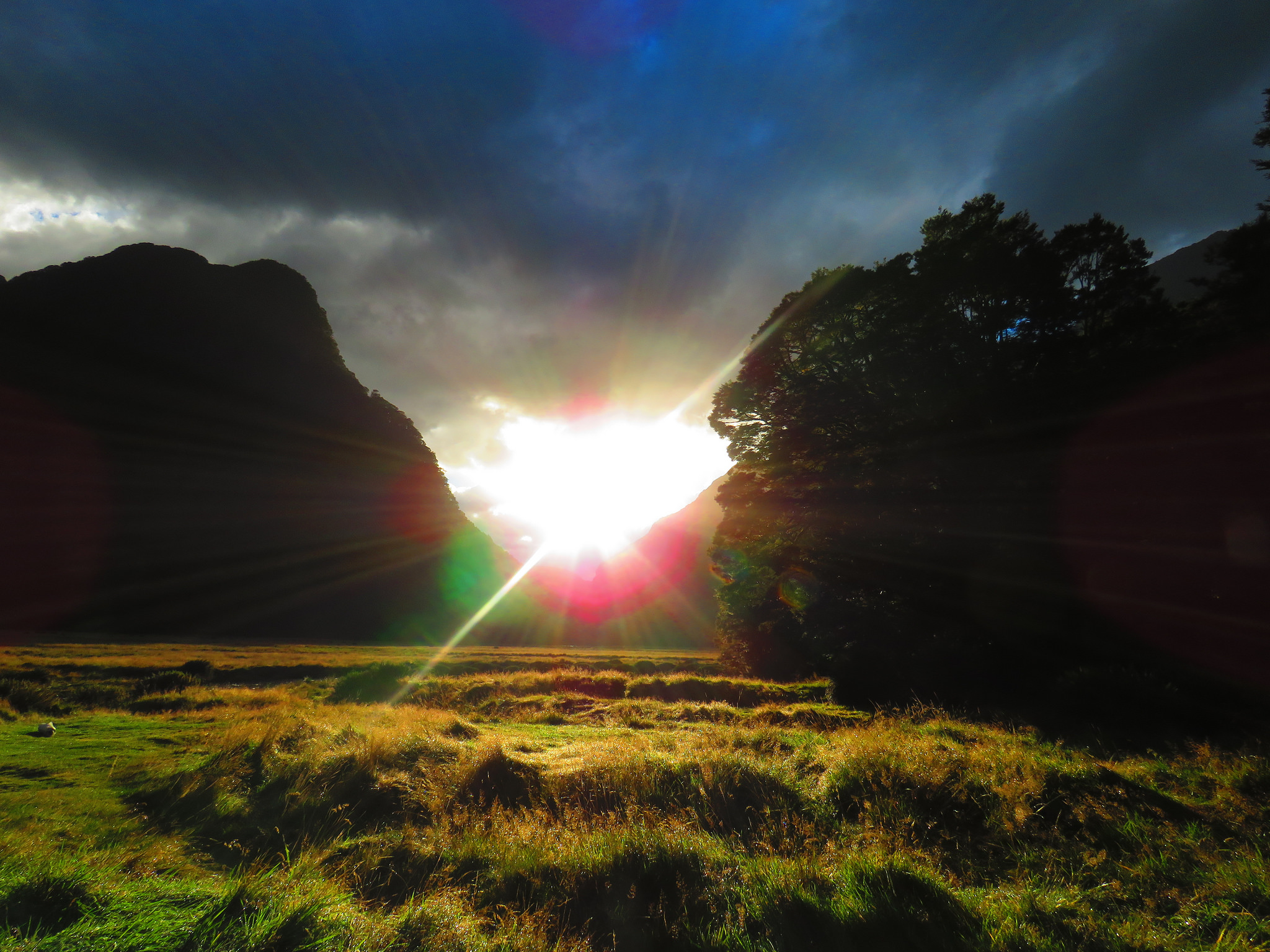 41701480971_f87a69fb14_k